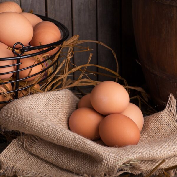 Eier BIO EIER – Bild 1