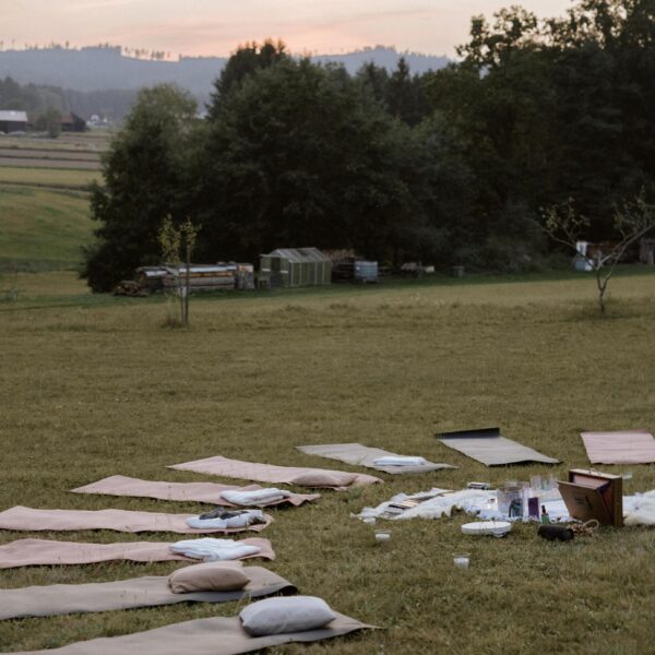 WhatsApp Image 2025-03-11 at 23.07.31