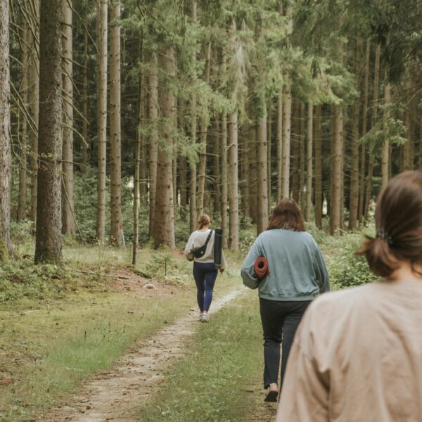 WhatsApp Image 2025-03-11 at 23.07.51